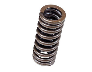 BLOX Racing D-Series SOHC VTEC Valve Springs for Honda Civic and Del Sol 1.6L