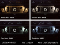Diode Dynamics 194 HP5 LED Bulb - Red, High Power, Direct Replacement for Audi S5 and Volkswagen Passat