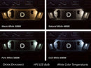 Diode Dynamics 194 HP5 LED Bulb Natural White - High Power Replacement for BMW Z3 and 3 Series