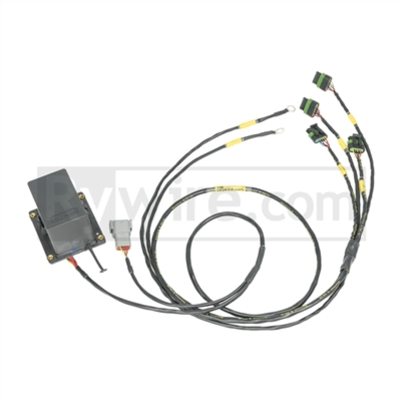 Rywire IGBT Coil Sub-Harness for 2 Rotor Engines – AEM/IGN-1A Compatible