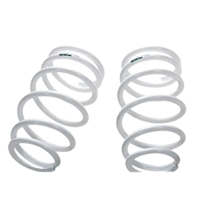 HKS MAX 4 SP BNR34 Rear Springs w/ 8K Spring Rate ( 1790-HD030 ) (G48311-K00470-00)