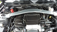 APR Peformance  Ford Mustang GT Plenum Cover 2005-2009
