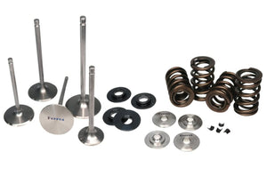 Kit de resorte doble Ferrea para Honda S2000 2000-2009 (ferKT4011)