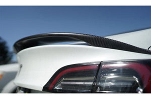 MXP 2012+ Tesla Model S | 2017+ Tesla Model 3 Wet Carbon Trunk Spoiler (mxpMCPTS-1W)