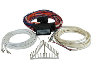 AEM Series 3 Flying Lead Harness (30-3707)