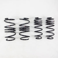 RS-R 2018+ Lexus LC500/ LC500H Ti2000 Down Springs