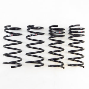 RS-R 13-16 Scion FR-S (ZN6) Resortes inferiores (T065D)
