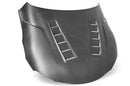 TS-Style Dry Carbon Hood
