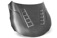 TS-Style Dry Carbon Hood