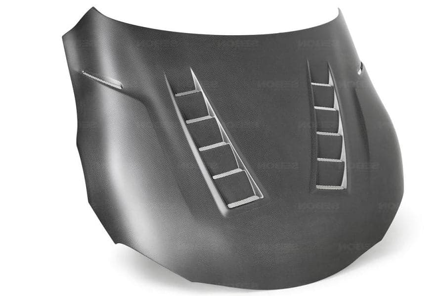 TS-Style Dry Carbon Hood