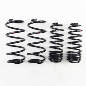 RS-R 15+ Honda Fit (GK5) Down Sus Springs (H294D)